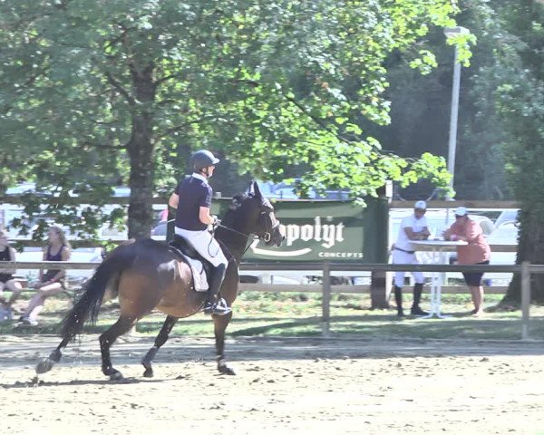 Reitturnier Walldorf/Winterheck 2020