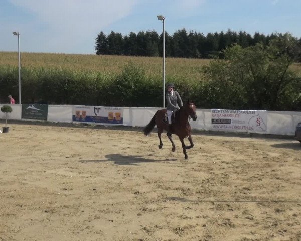 Reitturnier Leichlingen-Witzhelden 2020