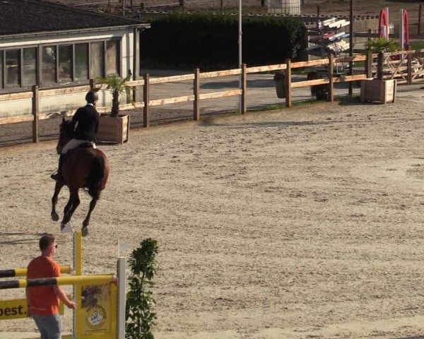 Gouden Laars Grote Brogel 2020