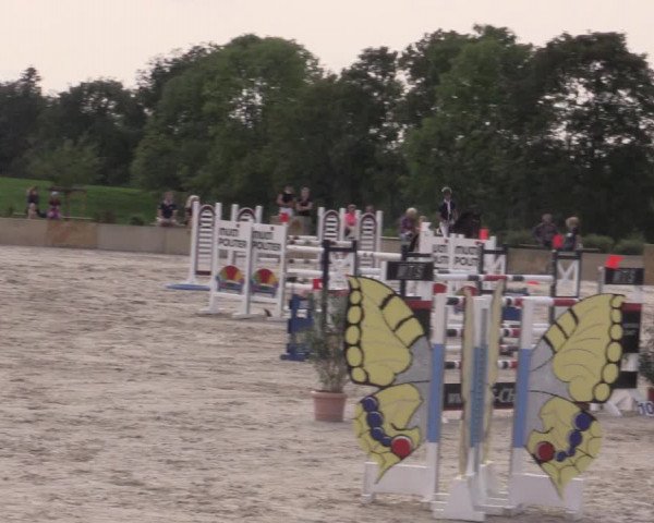 Reitturnier Oberfrauendorf 2020