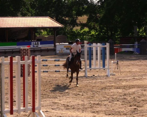 Reitturnier Lgl.-Oberhain, B95 2020