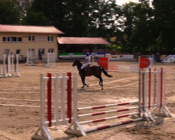 Reitturnier Lgl.-Oberhain, B95 2020