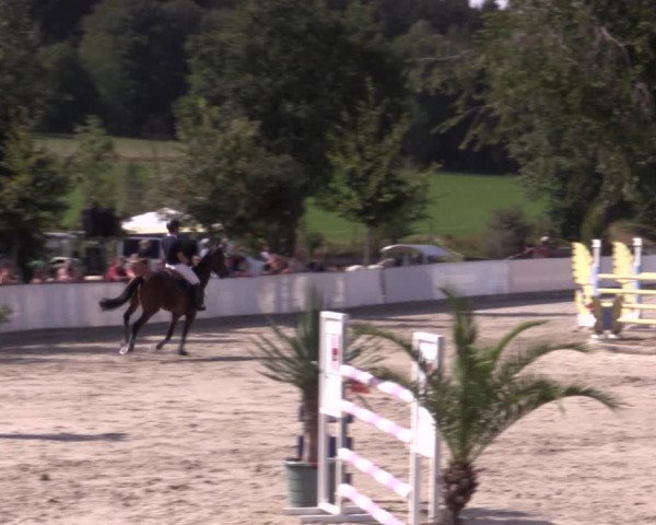 Reitturnier Oberfrauendorf 2020