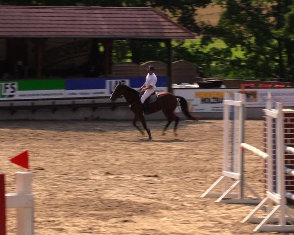 Reitturnier Lgl.-Oberhain, B95 2020