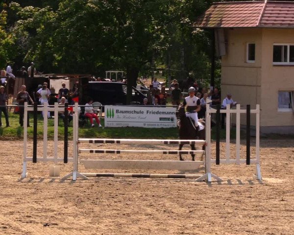 Reitturnier Lgl.-Oberhain, B95 2020