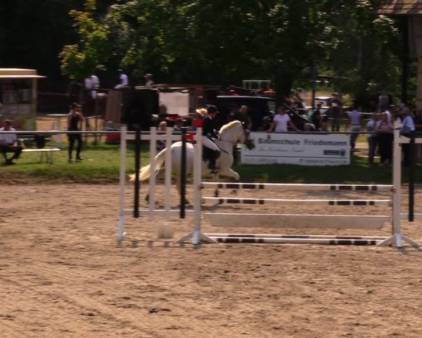 Reitturnier Lgl.-Oberhain, B95 2020