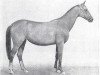 broodmare Pendschegul (Akhal-Teke, 1976, from Polotli)