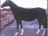 broodmare Gumri (Akhal-Teke, 1986, from Toretai)