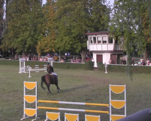 Reitturnier Westeregeln 2020
