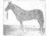 stallion Tillia Kush (Akhal-Teke, 1926, from Toporbai)