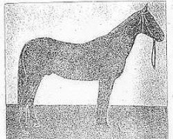 stallion Mamed (Akhal-Teke, 1925, from Toporbai)