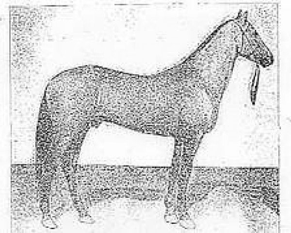 stallion Vezir (Akhal-Teke, 1934, from Tillia Kush)