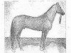 stallion Vezir (Akhal-Teke, 1934, from Tillia Kush)