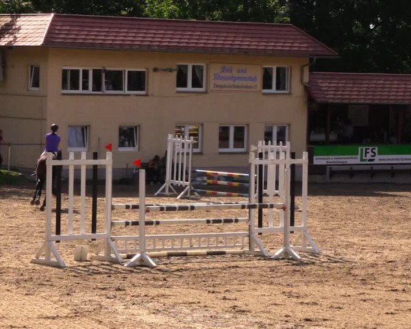 Reitturnier Lgl.-Oberhain, B95 2020