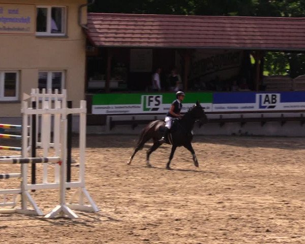 Reitturnier Lgl.-Oberhain, B95 2020