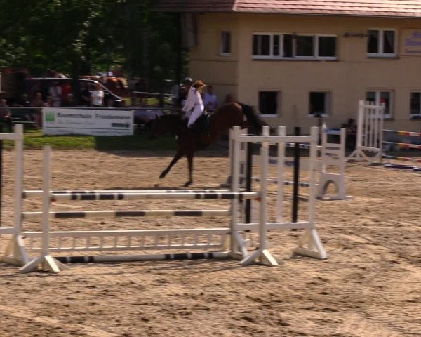 Reitturnier Lgl.-Oberhain, B95 2020