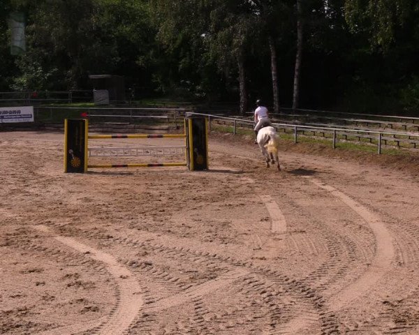 Reitturnier Lgl.-Oberhain, B95 2020
