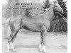 stallion Gomon 4 (Akhal-Teke, 1976, from Horog)