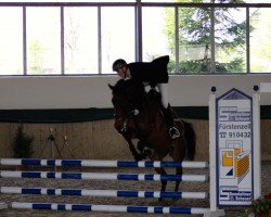 jumper Chamiro 7 (Austrian Warmblood, 2006, from Jamp of Class)