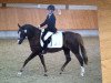 Zuchtstute Lena-K (Welsh Pony (Sek.B), 2006, von Weston Regent)