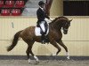 dressage horse Justify As (Oldenburg, 2009, from Jazz)