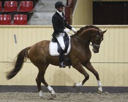 dressage horse Justify As (Oldenburg, 2009, from Jazz)