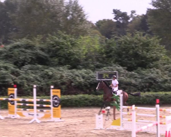 Spring Late Entry Gut Hohenkamp / Dorsten 2021
