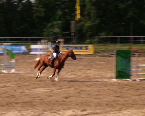 Reitturnier Lgl.-Oberhain, B95 2020