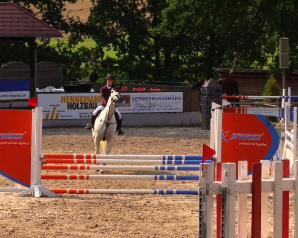 Reitturnier Lgl.-Oberhain, B95 2020