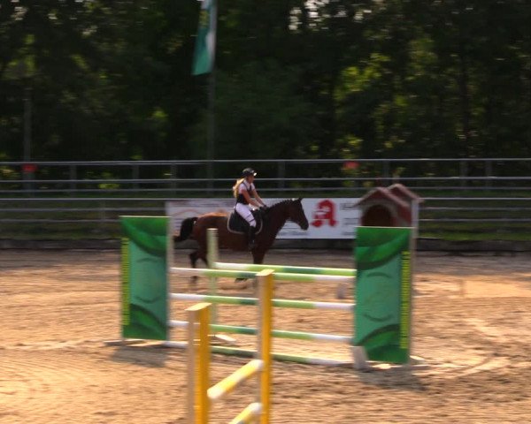 Reitturnier Lgl.-Oberhain, B95 2020