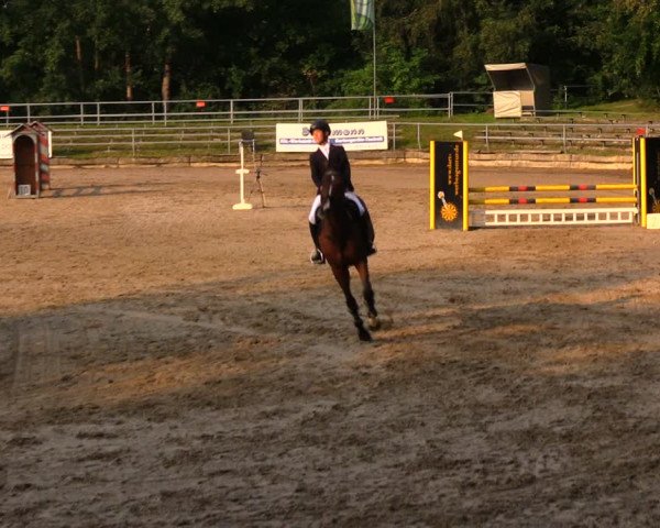 Reitturnier Lgl.-Oberhain, B95 2020