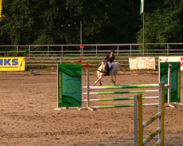 Reitturnier Lgl.-Oberhain, B95 2020