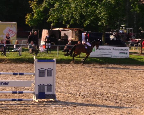 Reitturnier Lgl.-Oberhain, B95 2020