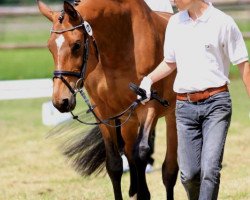 broodmare Hakuna v.d.Heide (Trakehner, 2003, from K2 T)