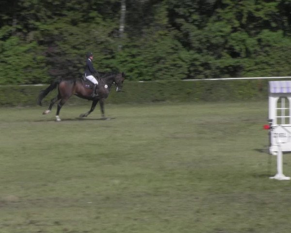 Reitturnier Westeregeln 2020