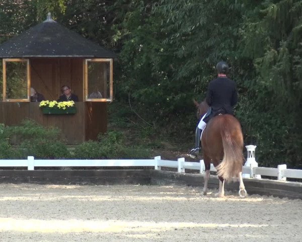 Reitturnier Mettmann - Reitanlage Löckenhoff 2020