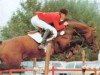 stallion Feo de Lauzelle (Hanoverian, 1980, from Wendekreis)