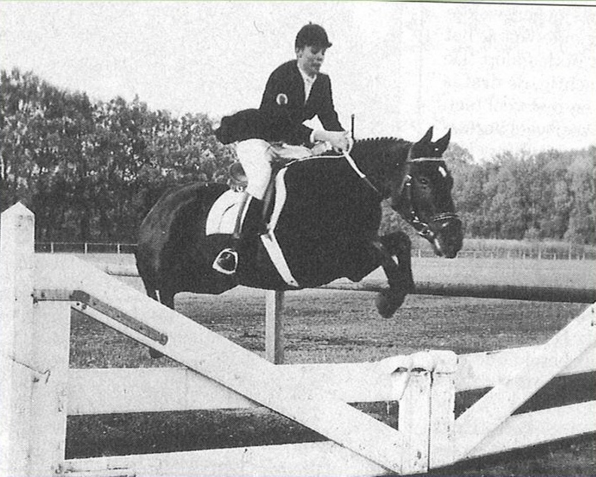 broodmare Axceen Lizzy (New Forest Pony, 1987, from Axceen Djordy)