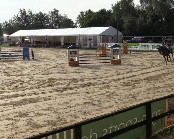 Reitturnier Albersloh 2020
