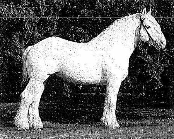 Pferd Prince (Boulonnais, 1981, von Beau Sire)