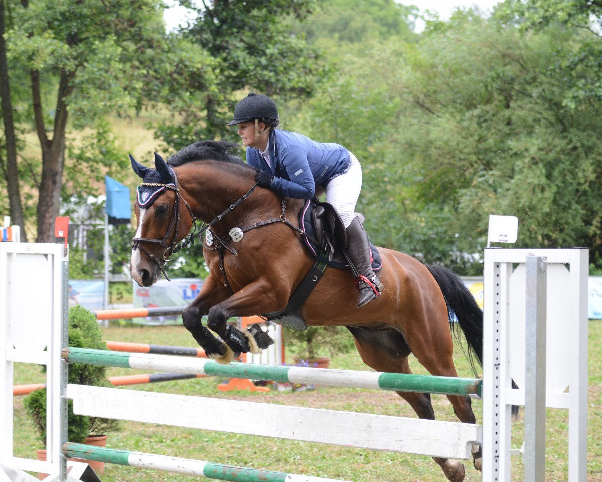 jumper Grand Coeur 37 (Hanoverian, 2003, from Grand Coeur)