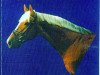 Deckhengst Garut Humbursky (Kinsky-Pferd, 1987, von Garut-10)