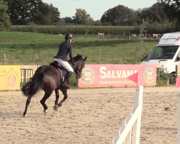 Reitturnier Schülp / Rendsburg 2020
