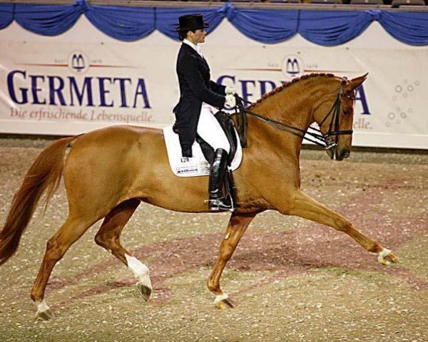 Pferd Gina (Oldenburger, 1991, von Grosso Z)
