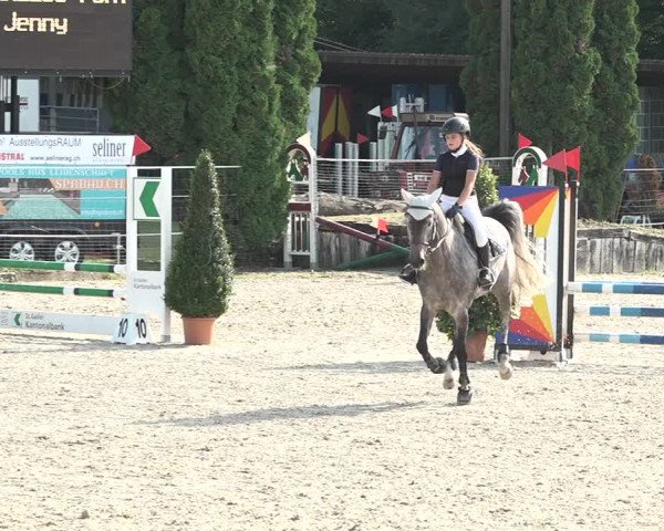 Reitturnier Winkel 2020