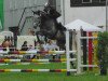 jumper Condero 2 (Bavarian, 2005, from Cornet Obolensky)