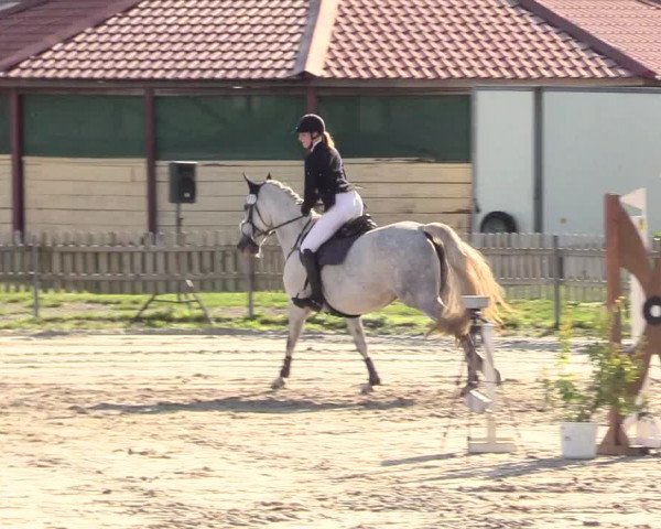 Reitturnier Schülp / Rendsburg 2020
