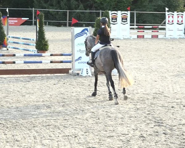 Reitturnier Winkel 2020