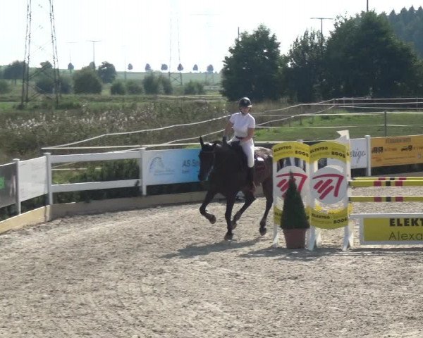 Reitturnier Sauldorf-Boll 2020