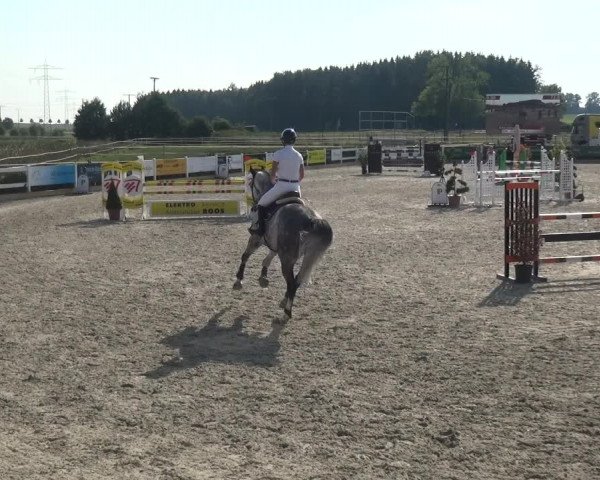 Reitturnier Sauldorf-Boll 2020